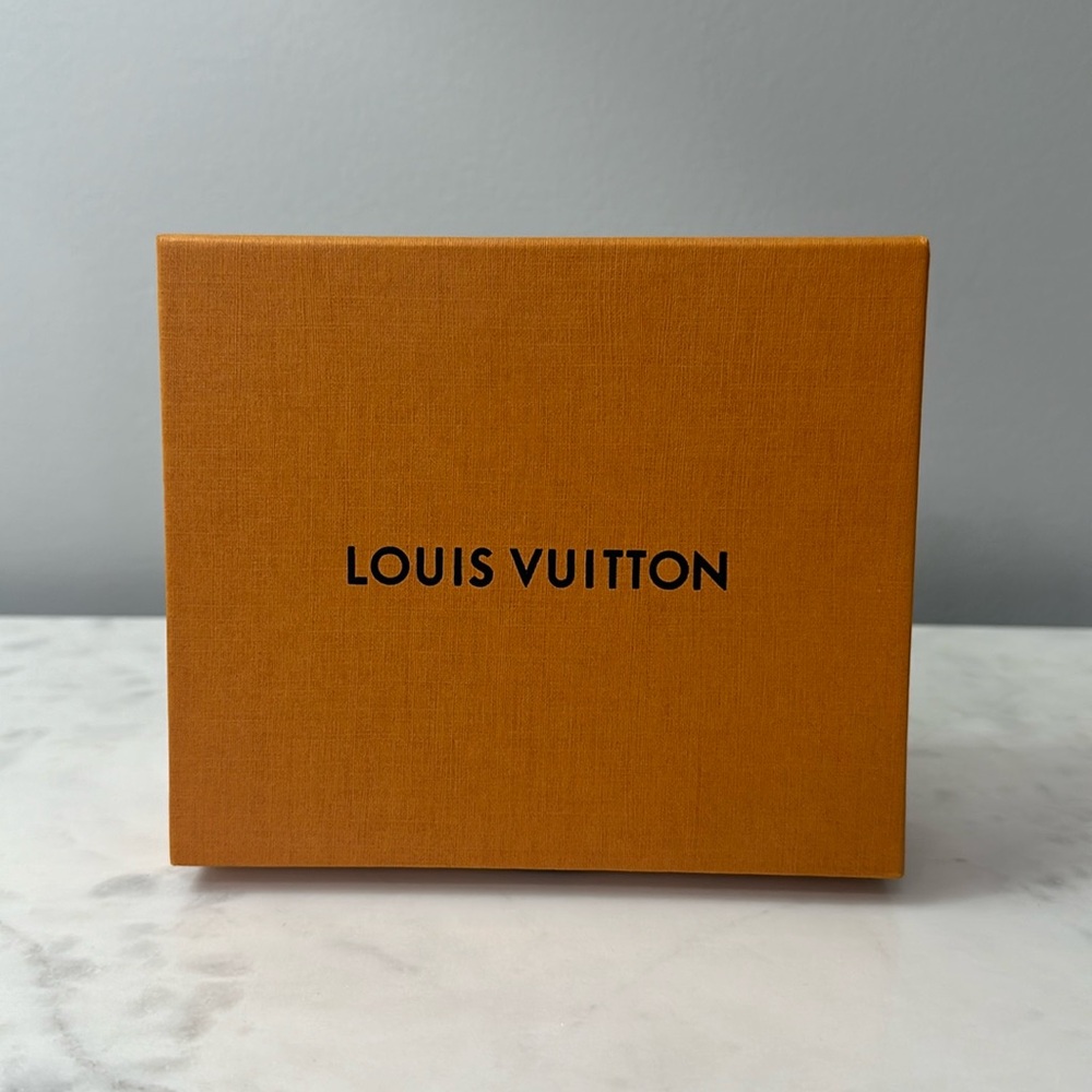Louis Vuitton Storage Box